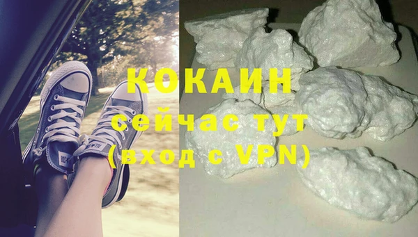 кокс Аша